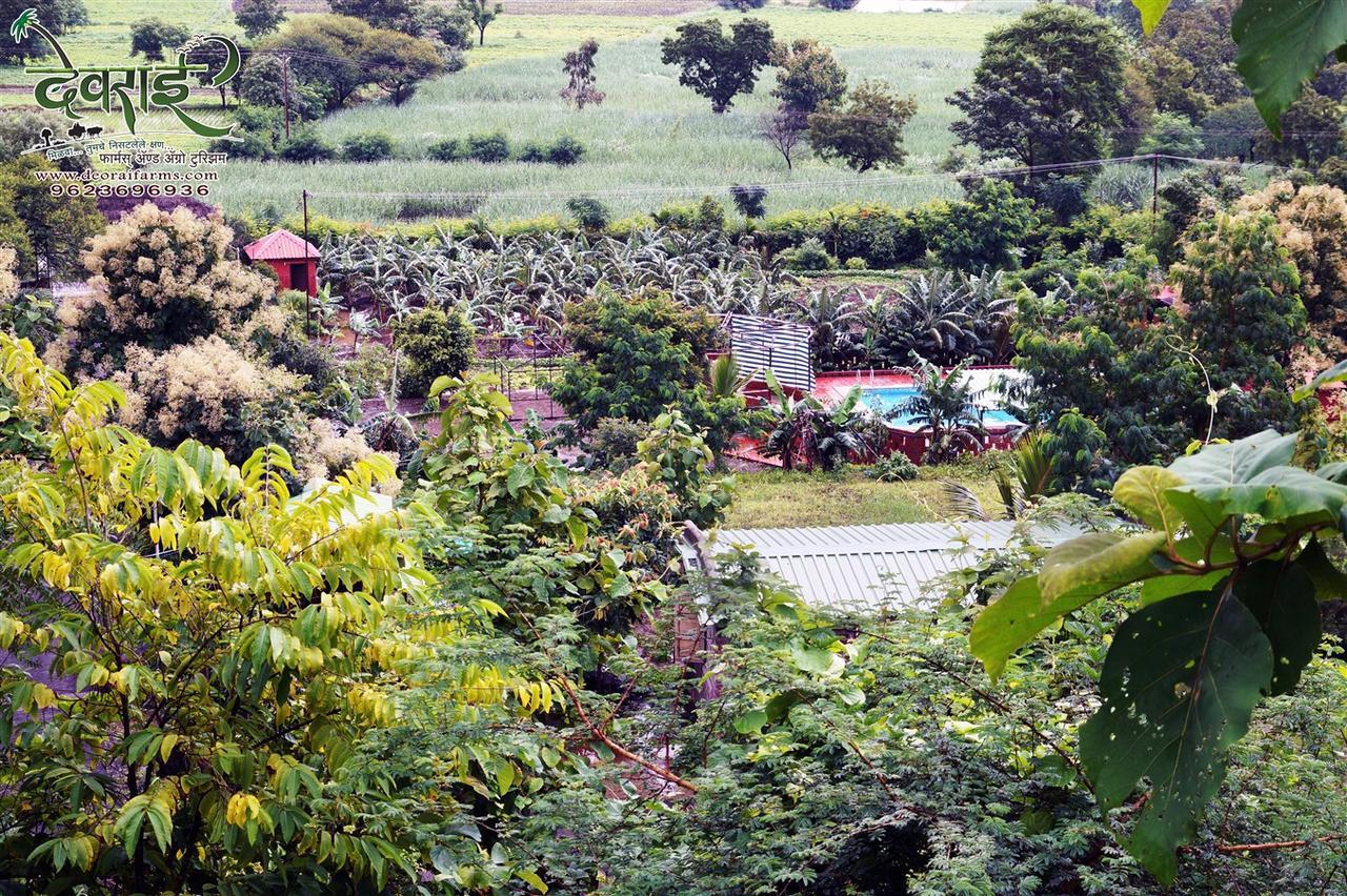 Deorai Farms And Agro Resort Pune Eksteriør billede